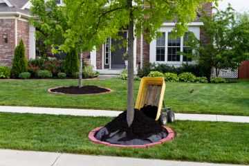 Residential Tree Services in Lakeview Estates by Guaranteed Tree Service