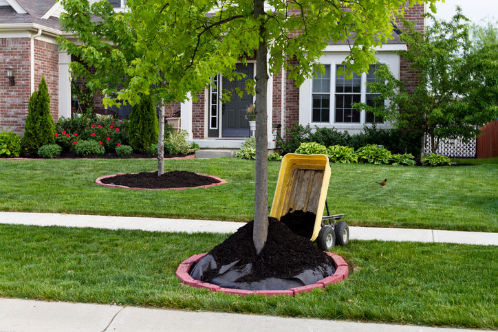 Residential Tree Services by Guaranteed Tree Service