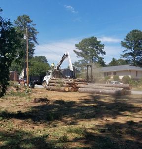 Tree Removal in Conyers, GA (2)