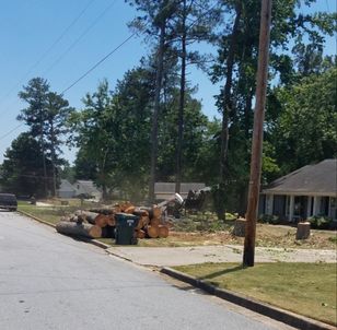 Snellville Tree Removal by Guaranteed Tree Service